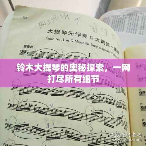 铃木大提琴的奥秘探索,一网打尽所有细节